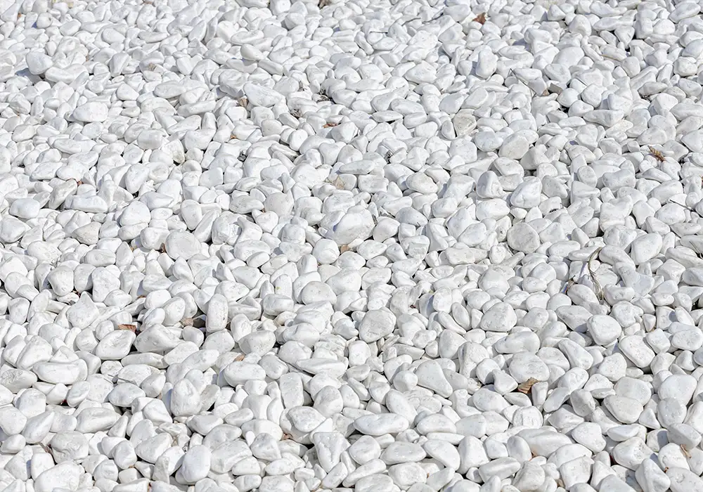 Gravier blanc